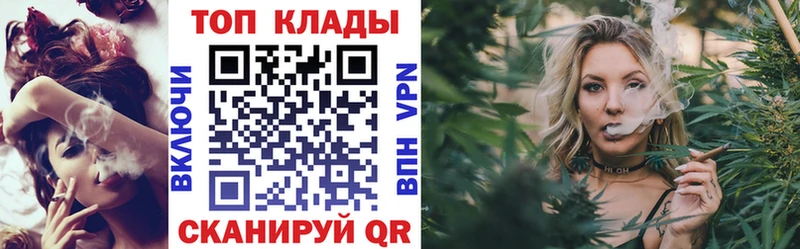 МЕФ Кашира